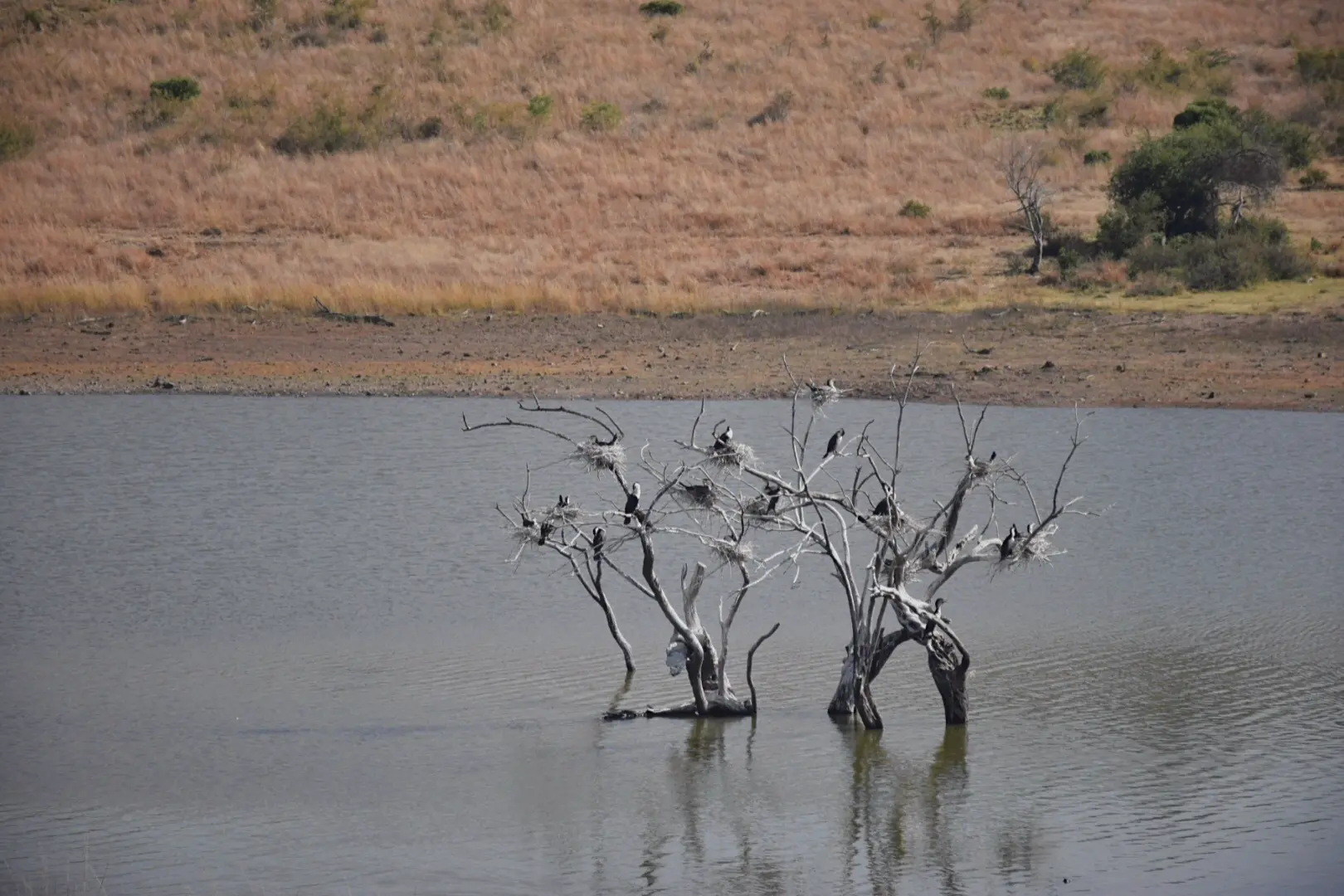 Cape Town, South Africa